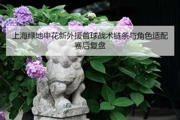 shang-hai-lv-di-shen-hua-xin-wai-yuan-shou-qiu-zhan-shu-lian-tiao-yu-jue-se-shi-pei-sai-hou-fu-pan-2-922.jpg